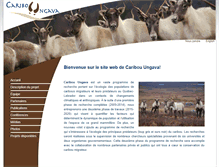Tablet Screenshot of caribou-ungava.ulaval.ca